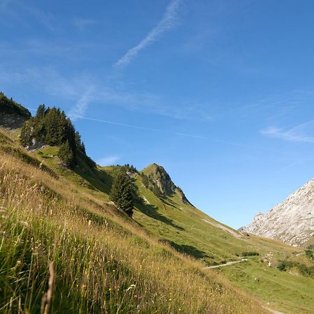 Mgm Hotels & Residences - Residence Chalets De Joy Le Grand-Bornand Buitenkant foto